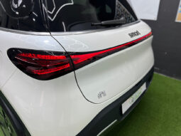 Smart #1 Premium lleno