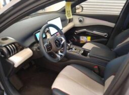BYD ATTO 3 lleno
