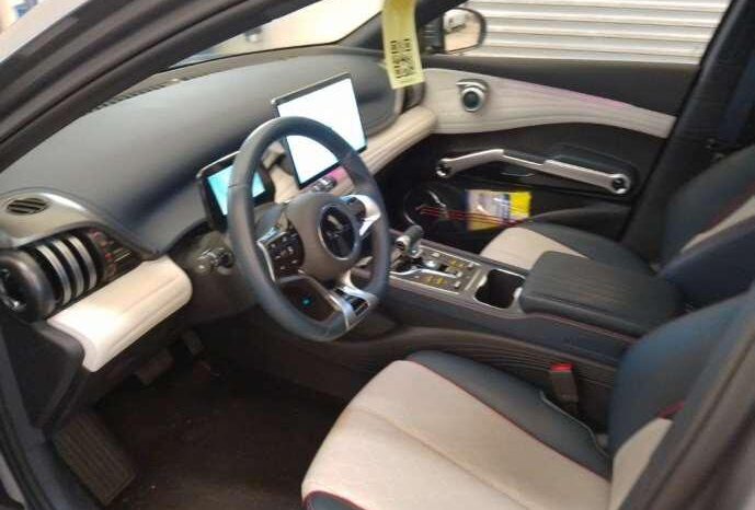 BYD ATTO 3 lleno