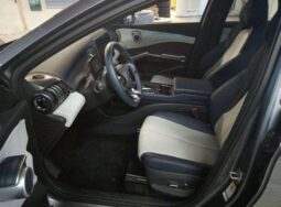 BYD ATTO 3 lleno