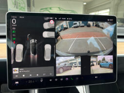 Tesla Model 3 Gran Autonomia AWD con Bola lleno