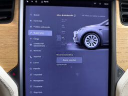 Tesla Model X 100D 6pl lleno
