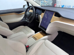 Tesla Model X 100D 6pl lleno