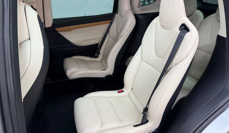Tesla Model X 100D 6pl lleno