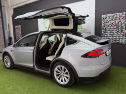 Tesla Model X 100D 6pl lleno