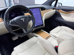 Tesla Model X Raven Gran Autonomia lleno