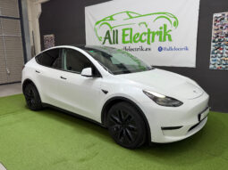 Tesla Model Y Gran Autonomia 4WD lleno