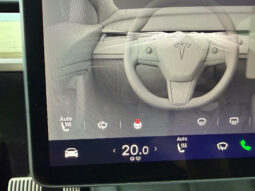 Tesla Model Y Gran Autonomia 4WD lleno