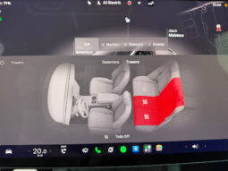 Tesla Model Y Gran Autonomia 4WD lleno