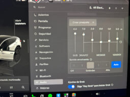 Tesla Model Y Gran Autonomia 4WD lleno