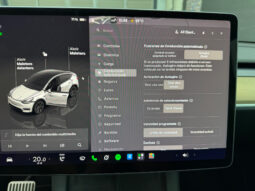 Tesla Model Y Gran Autonomia 4WD lleno