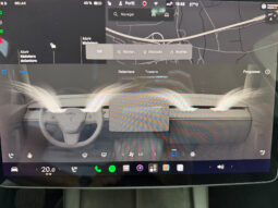 Tesla Model Y Gran Autonomia 4WD lleno