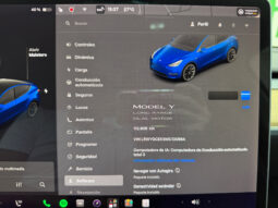 Tesla Model Y Gran Autonomia 4WD lleno