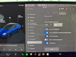 Tesla Model Y Gran Autonomia 4WD lleno