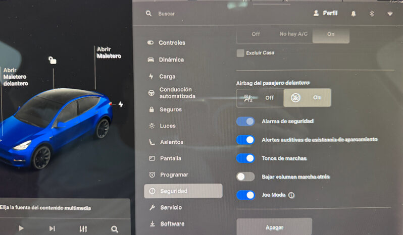 Tesla Model Y Gran Autonomia 4WD lleno