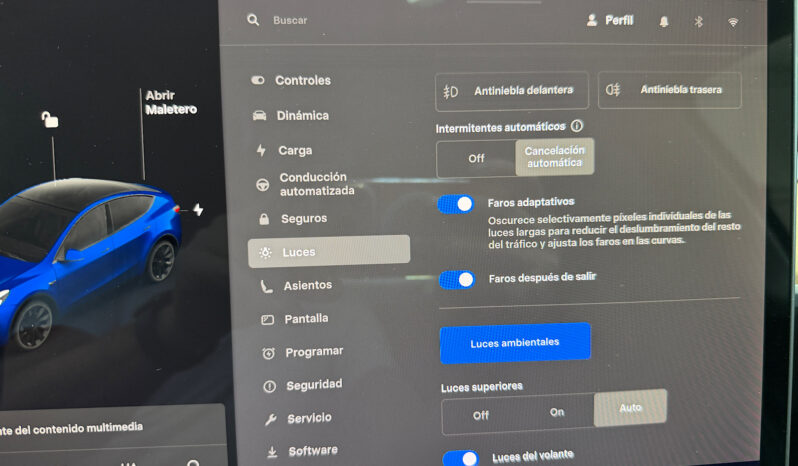 Tesla Model Y Gran Autonomia 4WD lleno