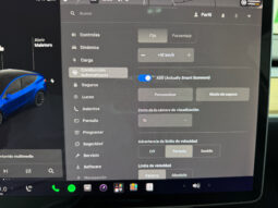 Tesla Model Y Gran Autonomia 4WD lleno