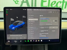 Tesla Model Y Gran Autonomia 4WD lleno