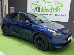 Tesla Model Y Gran Autonomia 4WD lleno