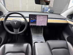 Tesla Model Y Gran Autonomia 4WD lleno