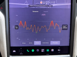 Tesla X Gran Autonomia Raven lleno