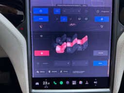 Tesla X Gran Autonomia Raven lleno