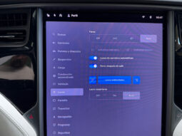 Tesla X Gran Autonomia Raven lleno