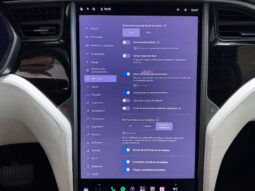 Tesla X Gran Autonomia Raven lleno