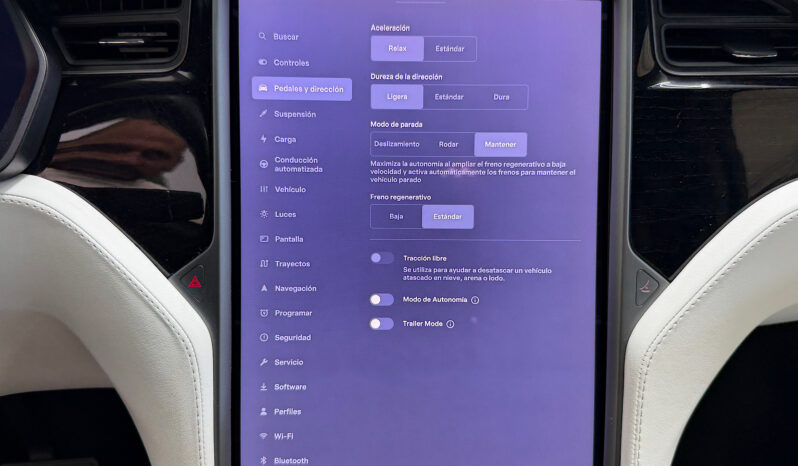 Tesla X Gran Autonomia Raven lleno