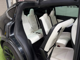 Tesla X Gran Autonomia Raven lleno