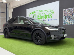 Tesla X Gran Autonomia Raven lleno