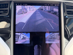 Tesla X Gran Autonomia Raven lleno