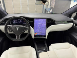 Tesla X Gran Autonomia Raven lleno