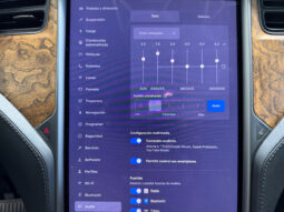 Tesla X Gran Autonomia Raven lleno