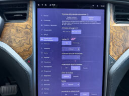 Tesla X Gran Autonomia Raven lleno