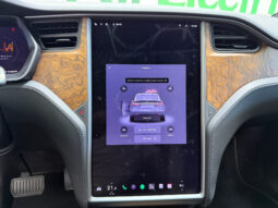 Tesla X Gran Autonomia Raven lleno