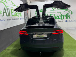 Tesla X Gran Autonomia Raven lleno