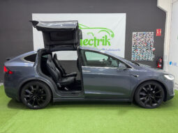Tesla X Gran Autonomia Raven lleno