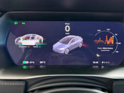 Tesla X Gran Autonomia Raven lleno