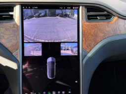 Tesla X Gran Autonomia Raven lleno