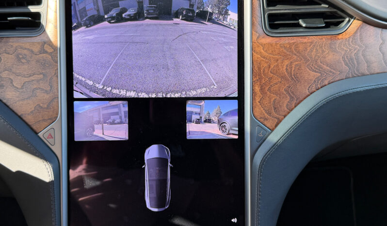 Tesla X Gran Autonomia Raven lleno