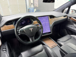 Tesla X Gran Autonomia Raven lleno