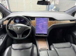 Tesla X Gran Autonomia Raven lleno