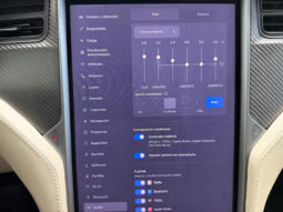 Tesla Model X 100D 6 PL lleno