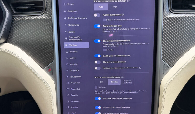 Tesla Model X 100D 6 PL lleno