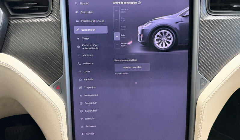 Tesla Model X 100D 6 PL lleno