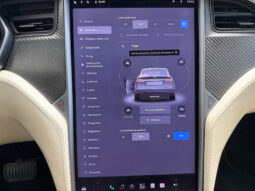 Tesla Model X 100D 6 PL lleno