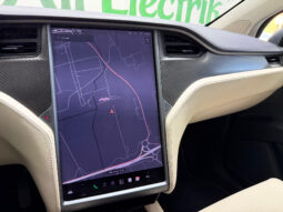 Tesla Model X 100D 6 PL lleno