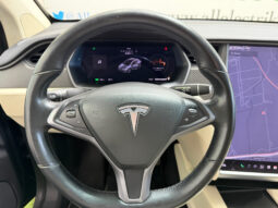 Tesla Model X 100D 6 PL lleno
