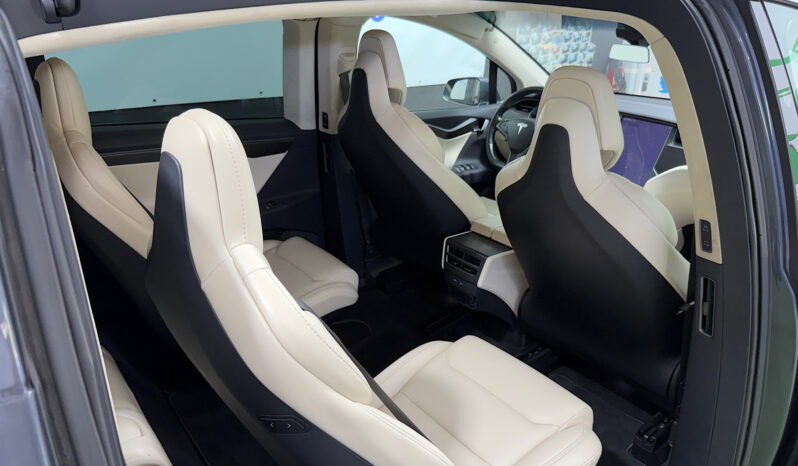 Tesla Model X 100D 6 PL lleno